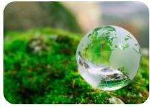 Snaga boja – Zeleno, što volim&nbsp;zeleno…