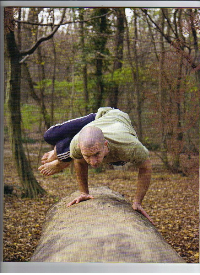 Danijel Dubičanac, Hatha yoga