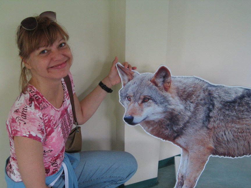 VIDEO:Branitelji Divljine: Defenders of Wildlife – Animals I helped save in&nbsp;2009