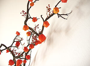 Radost i mir: SRETAN&nbsp;BOŽIĆ!