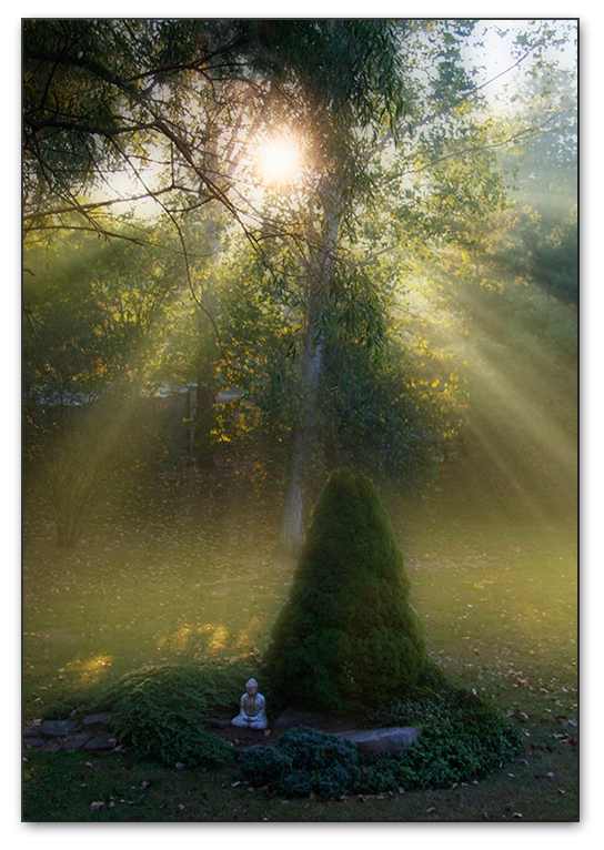 Besplatna Mindfulness meditacija&nbsp;srijedom