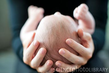 Mother and baby. F003/9277 Royalty Free. Credit: IAN HOOTON/SCIENCE PHOTO ... sciencephoto.com