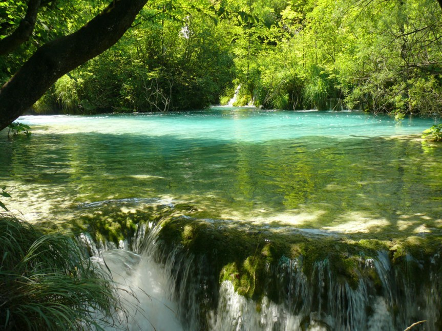 AKCIJA ZELENA ČISTKA