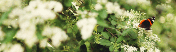 TAI CHI treninge selimo iz dvorane u&nbsp;Maksimir!