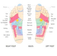 reflexotherapy_chart2
