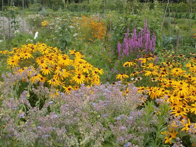 DOGAĐANJA u Apolonu&nbsp;06/2013.