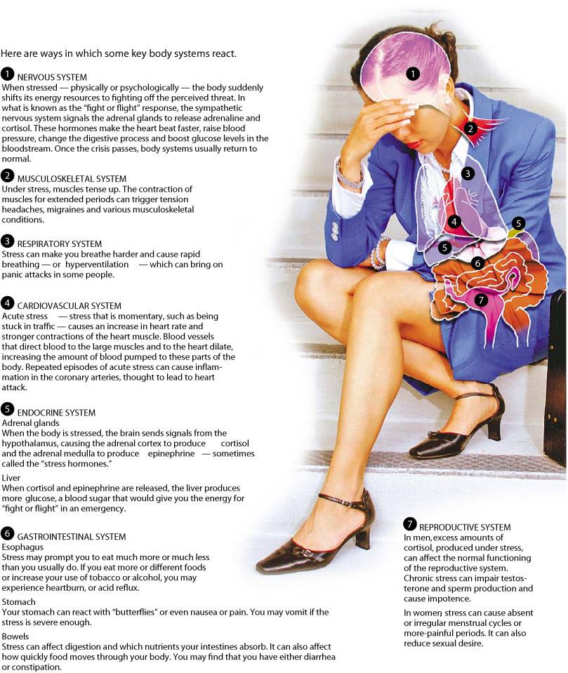 Kako naši tjelesni sustavi reagiraju na&nbsp;stres