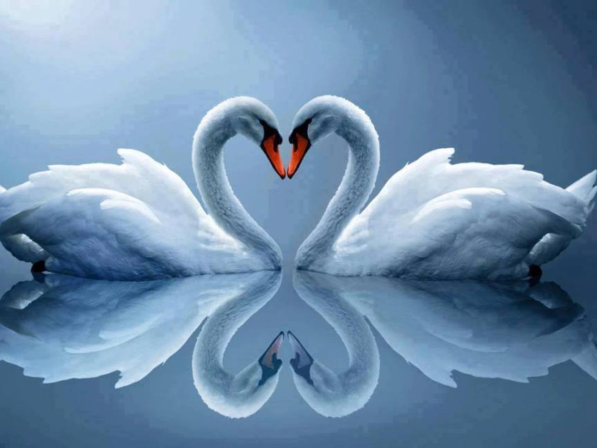 LJUBAVNI ODNOSI: Radionica transformacijskog disanja,&nbsp;06.04.