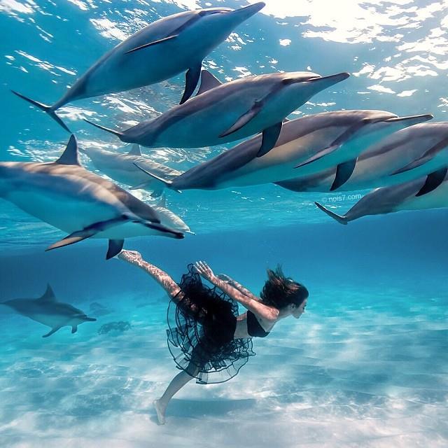 Uvodni tečaj TRANSFORMACIJSKOG DISANJA, listopad&nbsp;2014.