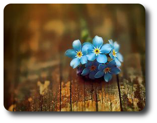 Seminari koji otkrivaju bogatstvo koje nosite u sebi  SREĆA JE U “SADA”, 12.3. – ODGAĐA&nbsp;SE