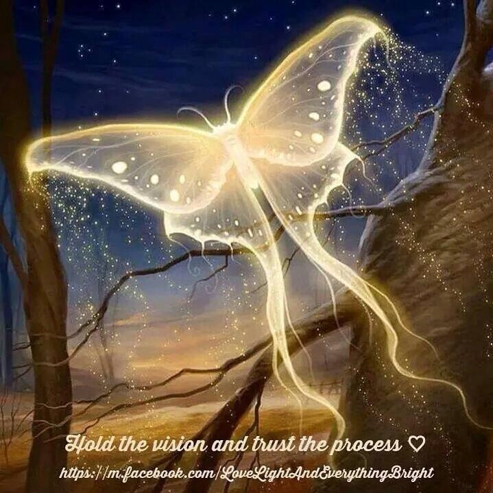 14993560_10210719516602208_333562744661867207_n