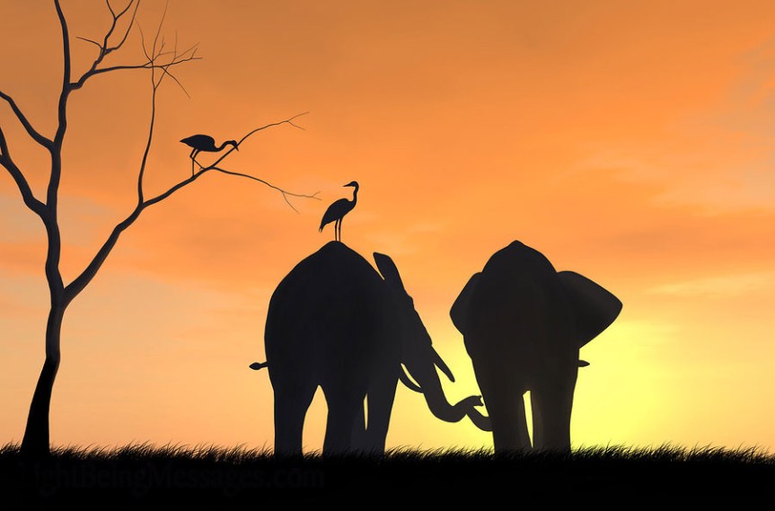 Poludnevni seminar- SAMOPOŠTOVANJE I POSTAVLJANJE ZDRAVIH&nbsp;GRANICA