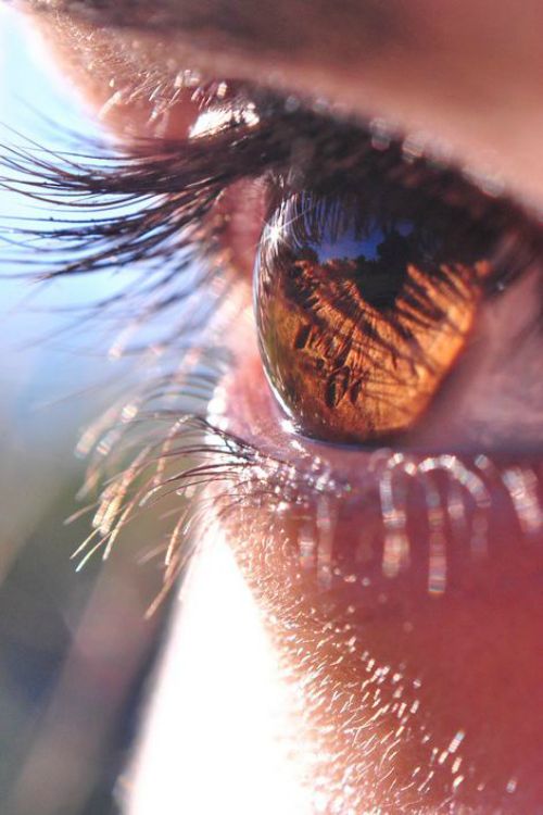 Preporuke i mjere zaštite zdravlja za boravak u dvorani – Covid&nbsp;19