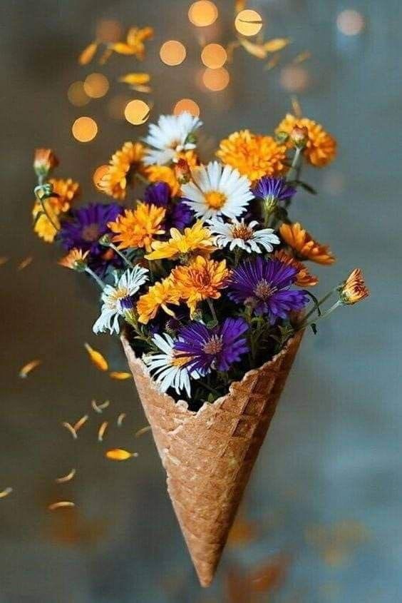 ZA DAN ŽENA Apolon vas DARUJE&nbsp;❤️!