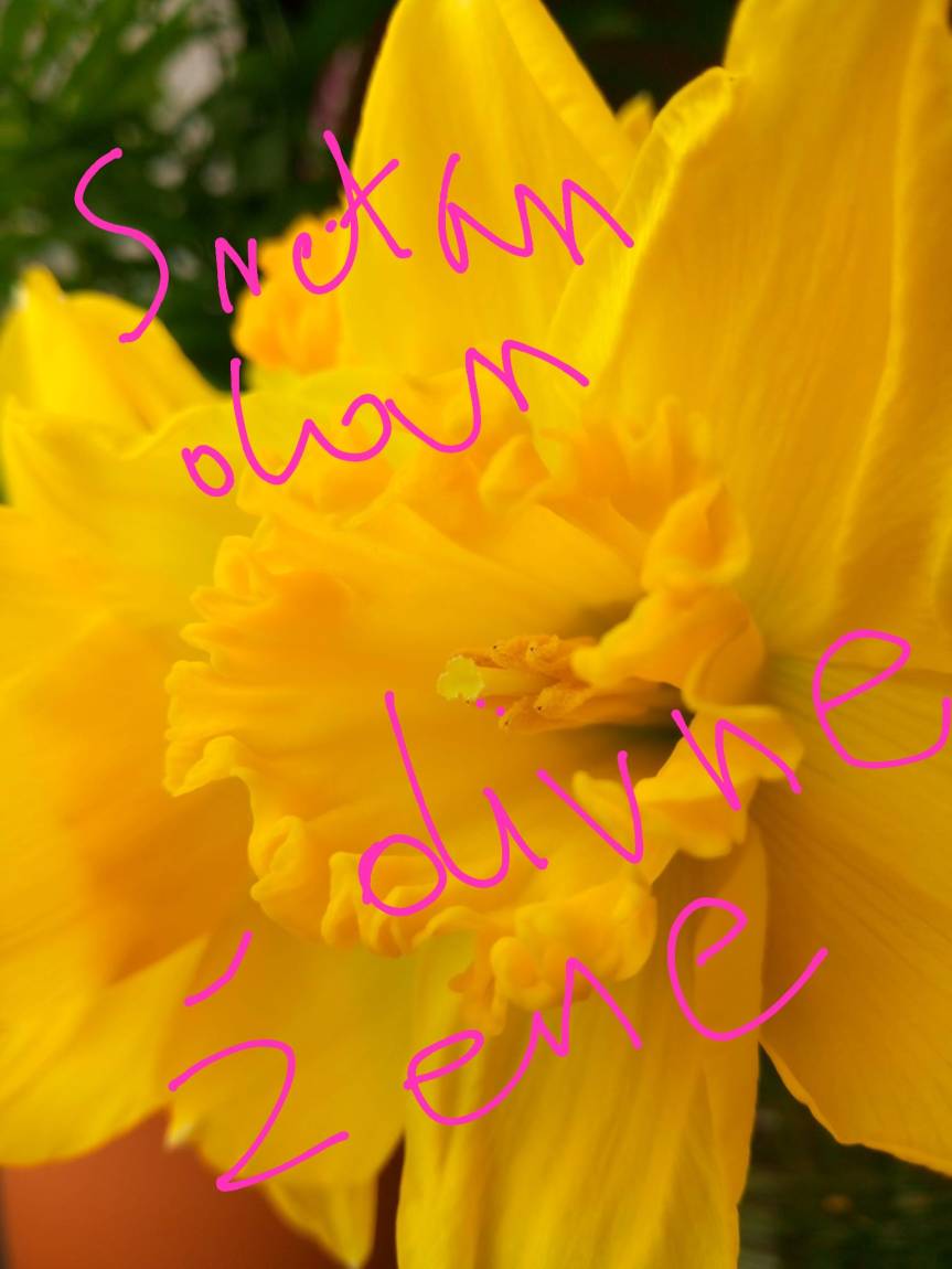 SRETAN MEĐUNARODNI DAN&nbsp;ŽENA!