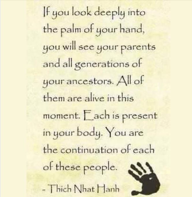 OBITELJSKE I POSLOVNE&nbsp;KONSTELACIJE