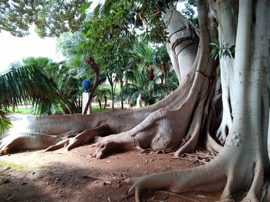 Obiteljske konstelacije